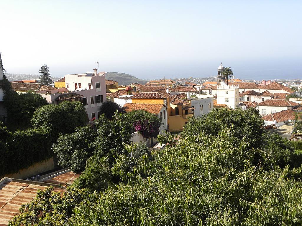 Teneriffa 2010 (27)